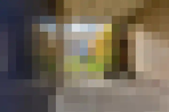 Pythagorasstraat 19 Apeldoorn thumbnail 17