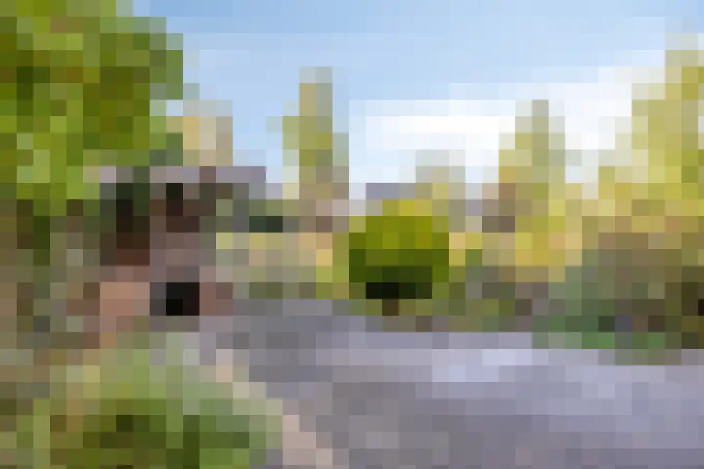 Pythagorasstraat 19 Arnhem thumbnail 32