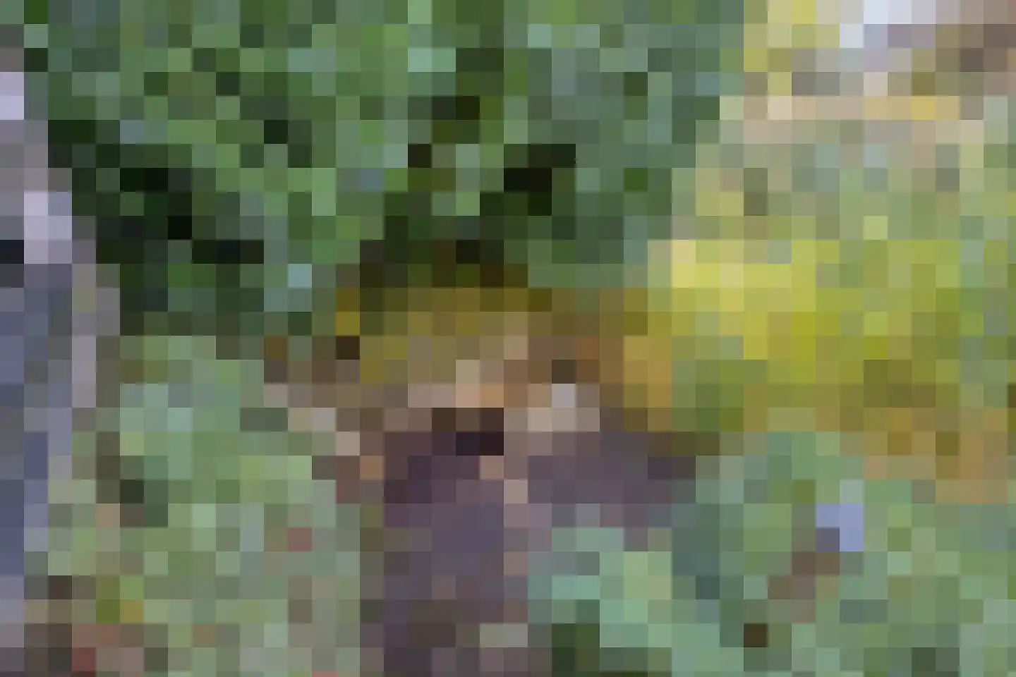 Pythagorasstraat 19 Arnhem thumbnail 37