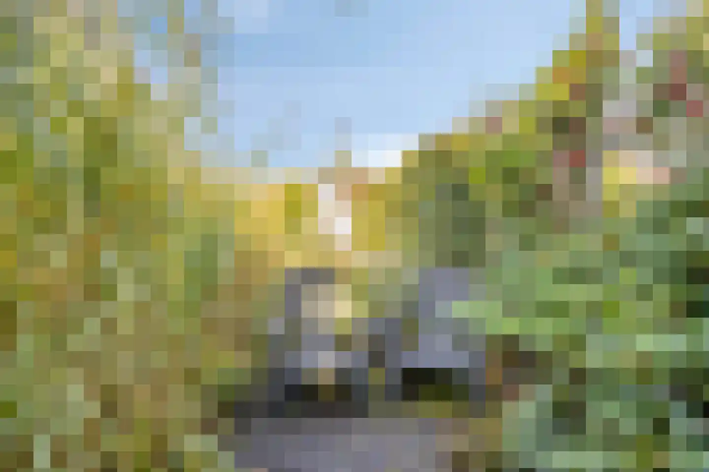 Pythagorasstraat 19 Arnhem thumbnail 39