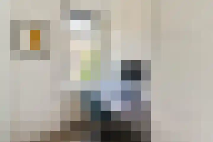 Pythagorasstraat 22 2 Amsterdam thumbnail 28
