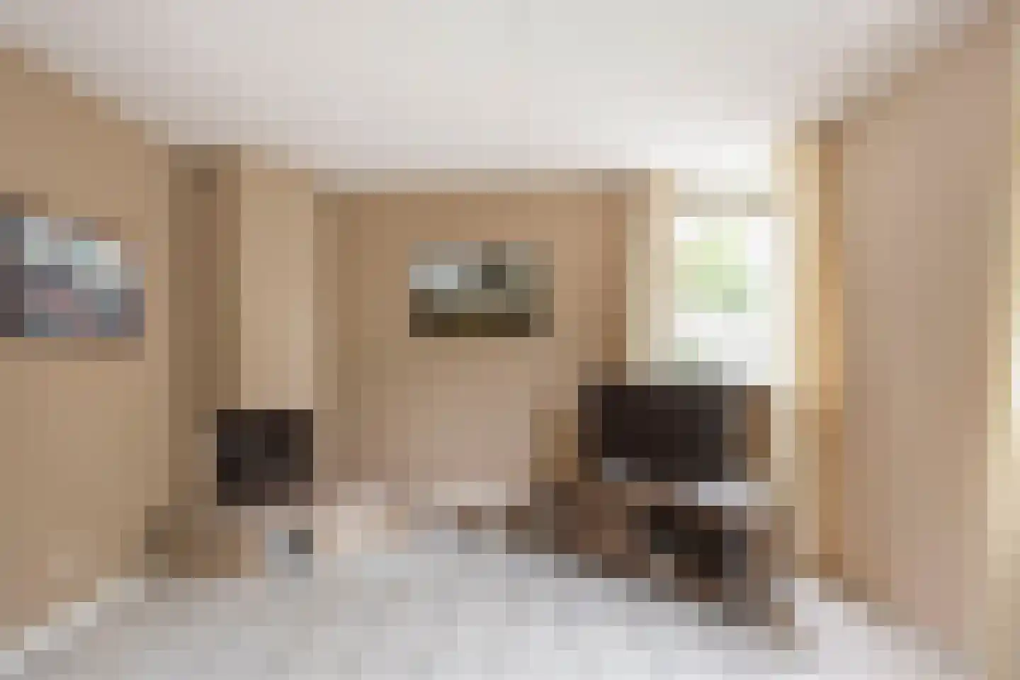Pythagorasstraat 40 Arnhem thumbnail 5