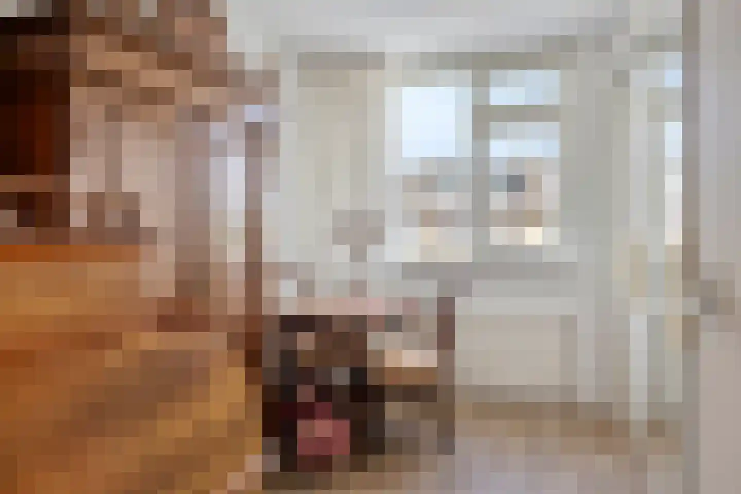 Pythagorasstraat 69 Apeldoorn thumbnail 16