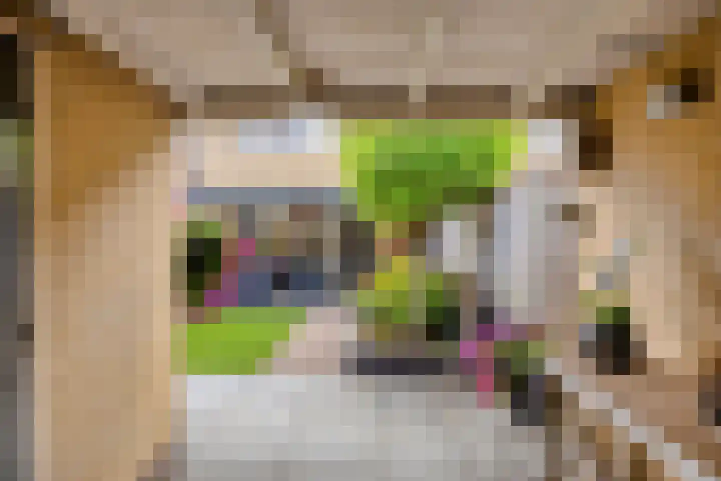 Pythagorasstraat 69 Apeldoorn thumbnail 30