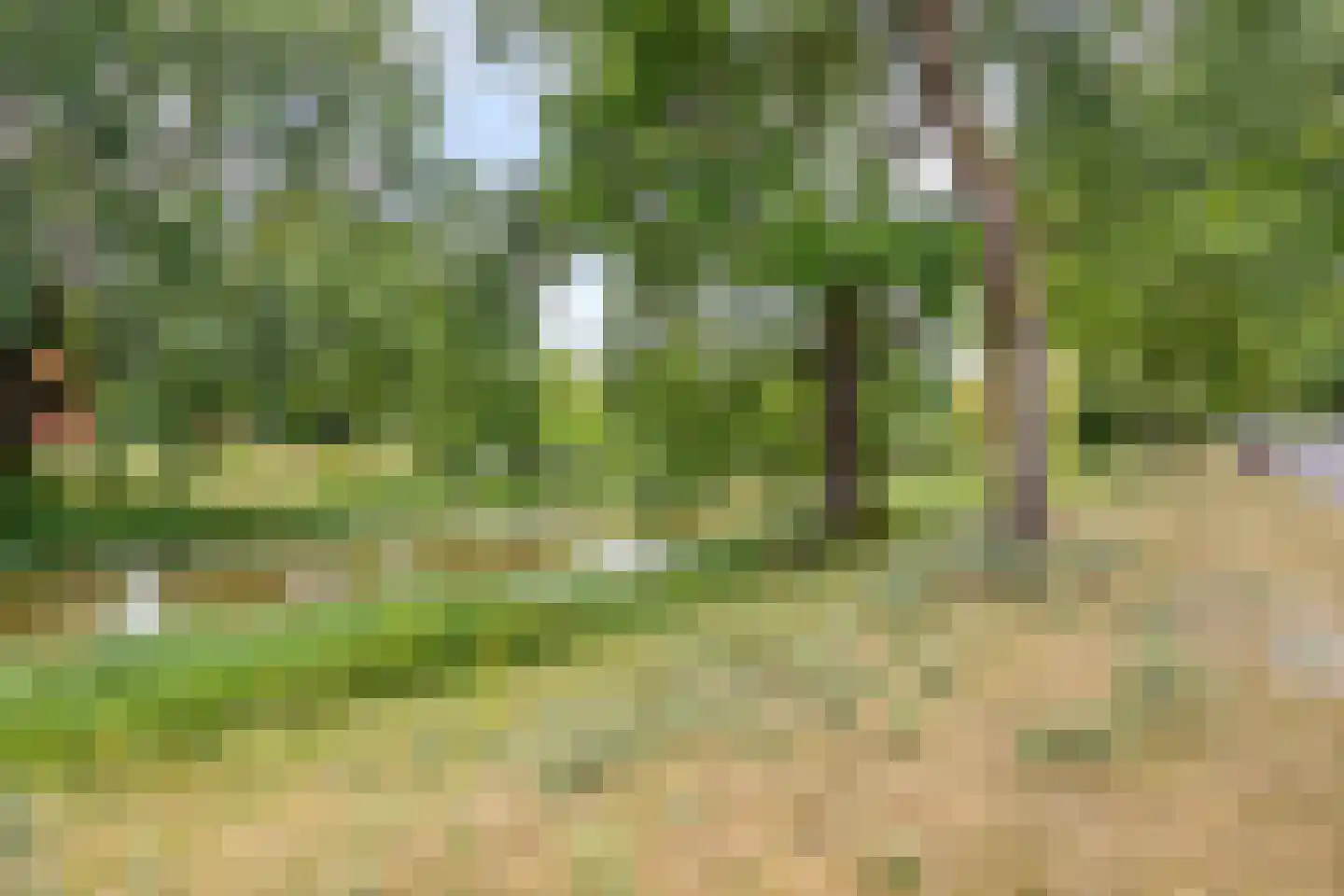 Pythagorasstraat 69 Apeldoorn thumbnail 35