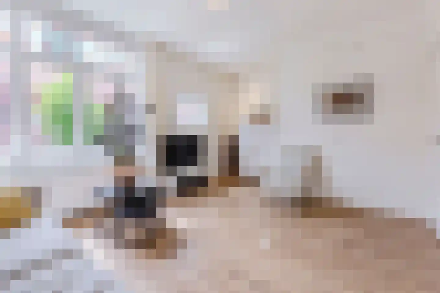 Pythagorasstraat 73 1 Amsterdam thumbnail 8