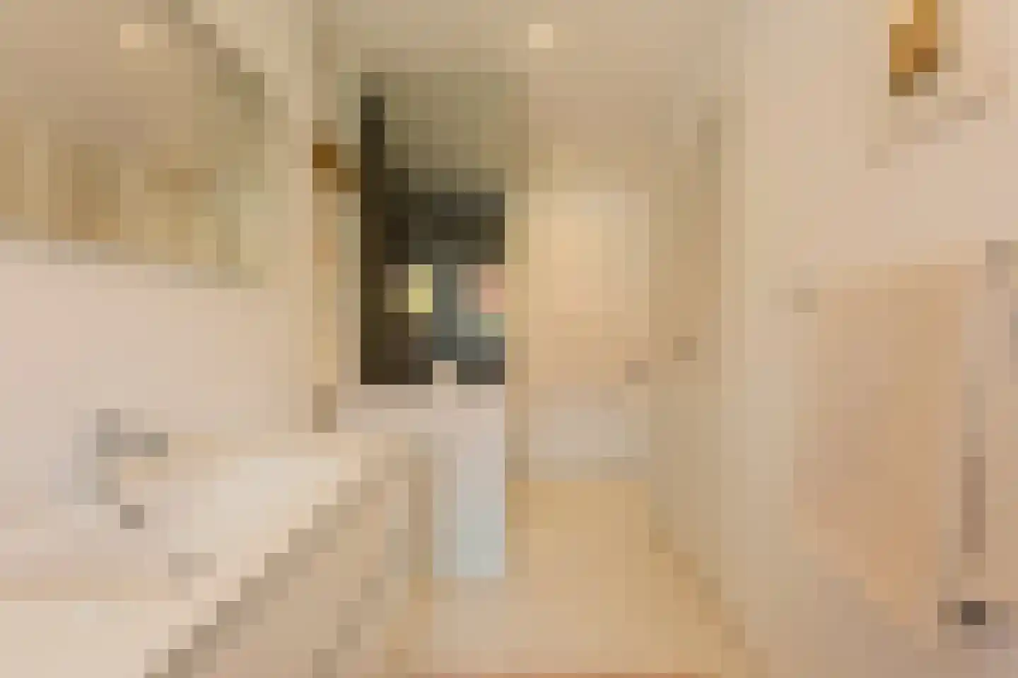 Pythagorasstraat 8 H Amsterdam thumbnail 18