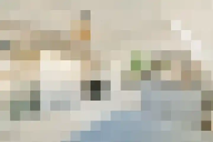 Pythagorasstraat 97 Amsterdam thumbnail 33