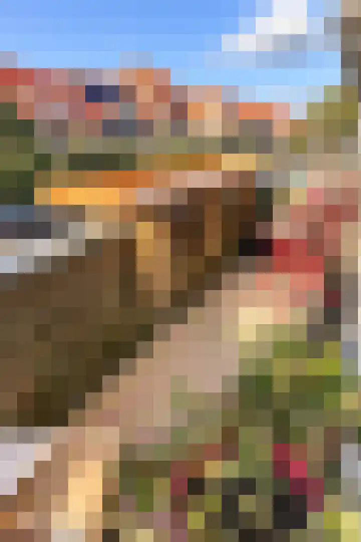 Pythagorasstraat 97 Amsterdam thumbnail 6