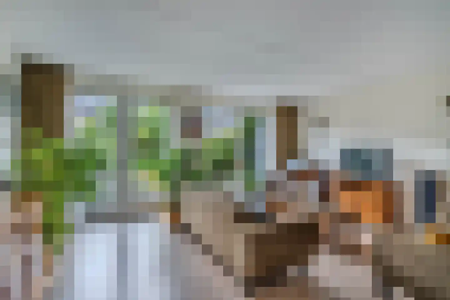 Pytheas 46 Beverwijk thumbnail 10