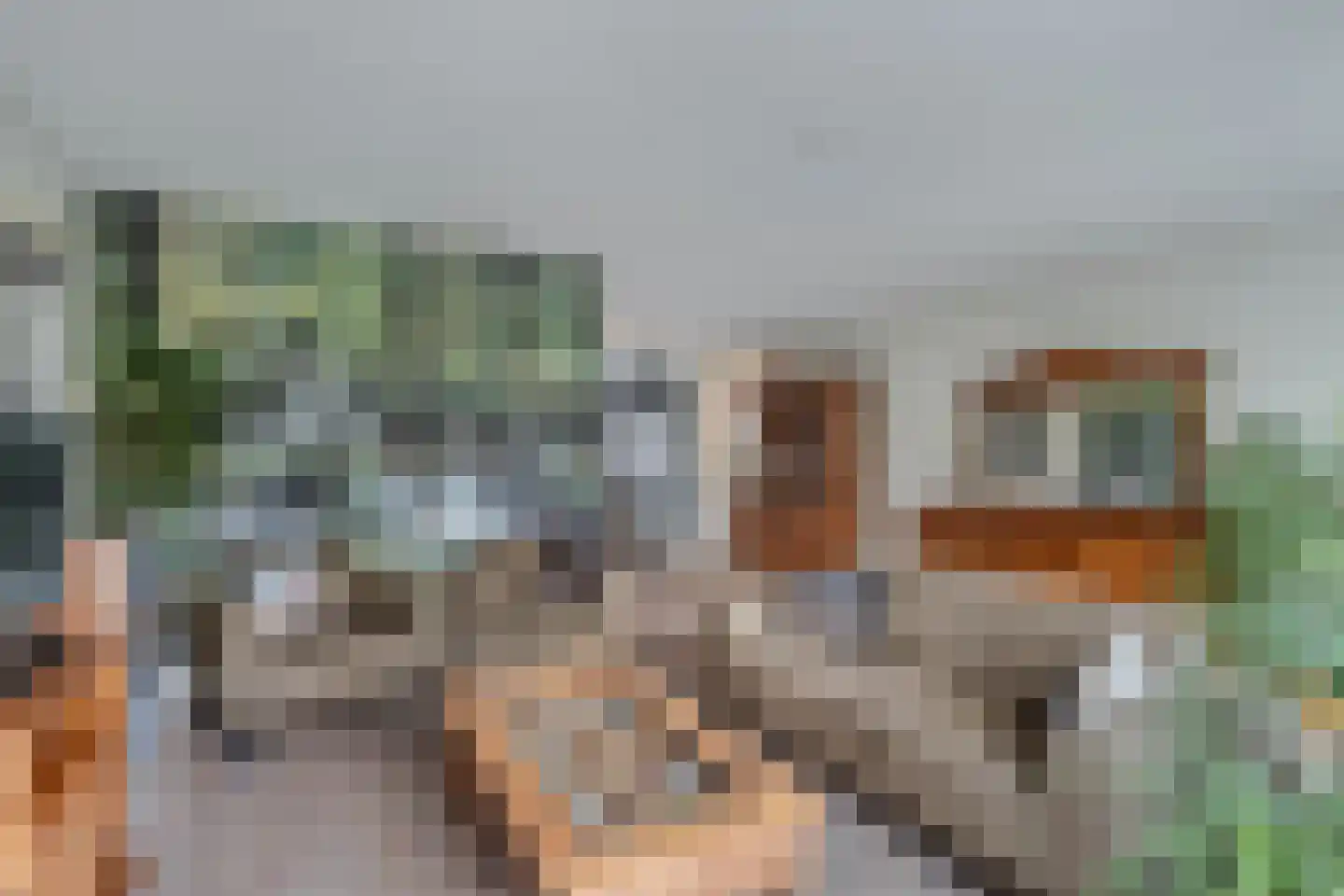 Pytheas 46 Beverwijk thumbnail 11