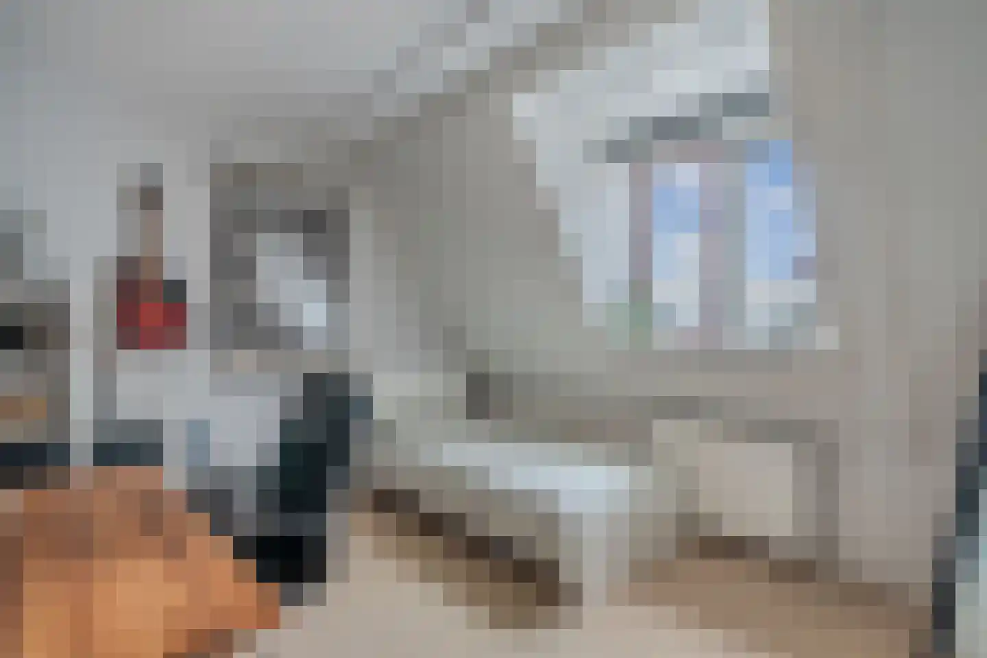 Pytheas 46 Beverwijk thumbnail 18