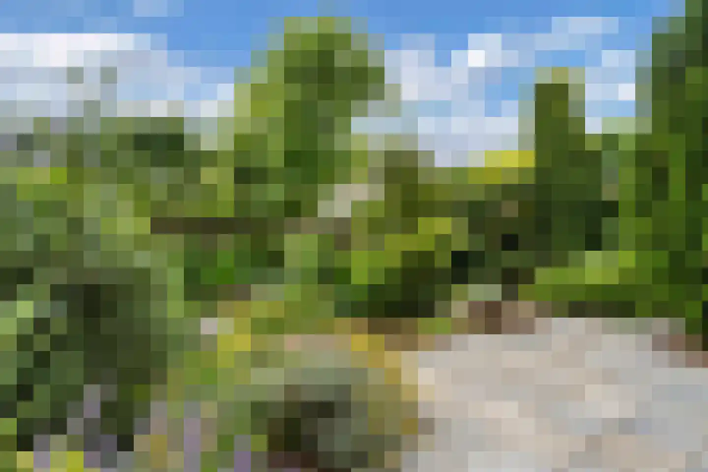 Pytheas 46 Beverwijk thumbnail 31