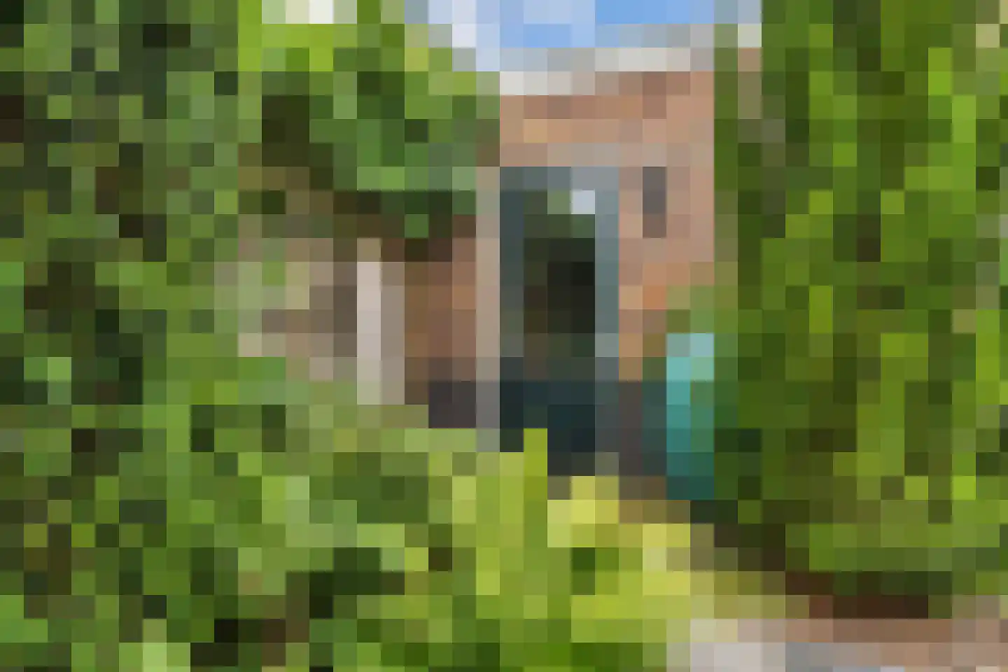 Pytheas 46 Beverwijk thumbnail 33