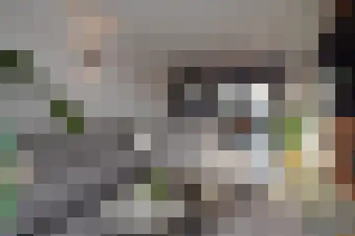 Q.A. Nederpelstraat 122 Den Haag thumbnail 11
