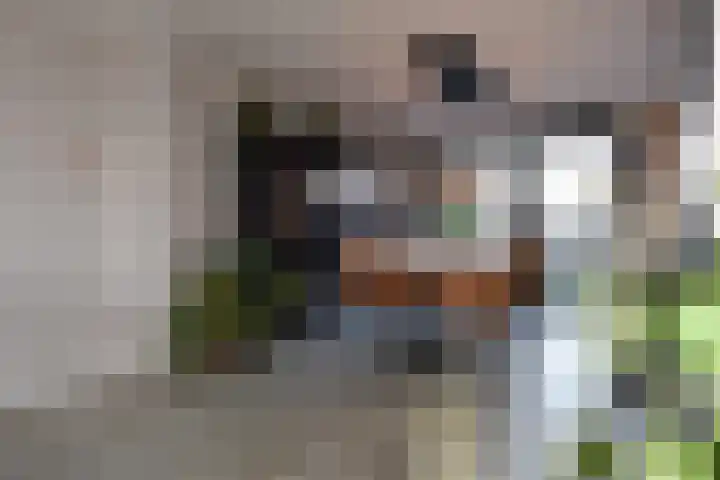 Q.A. Nederpelstraat 122 Den Haag thumbnail 12