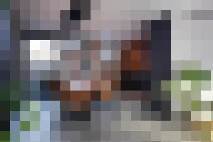 Q.A. Nederpelstraat 122 Den Haag thumbnail 13