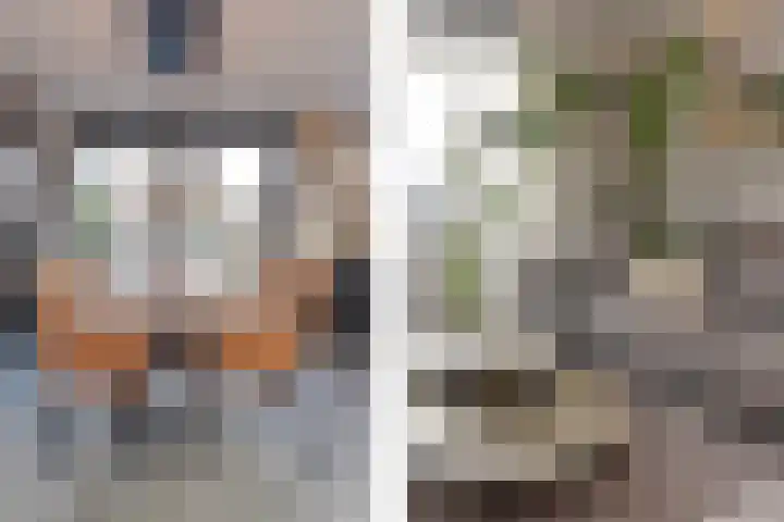 Q.A. Nederpelstraat 122 Den Haag thumbnail 19