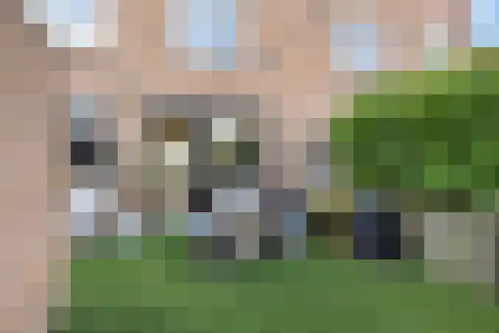Q.A. Nederpelstraat 122 Den Haag thumbnail 21