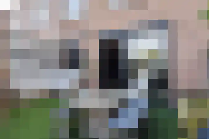 Q.A. Nederpelstraat 122 Den Haag thumbnail 22