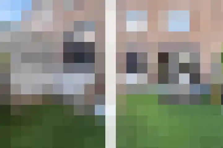 Q.A. Nederpelstraat 122 Den Haag thumbnail 23