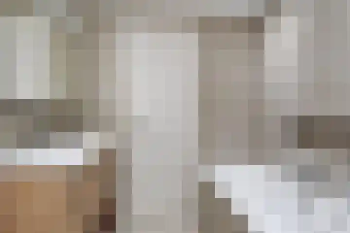 Q.A. Nederpelstraat 122 Den Haag thumbnail 37