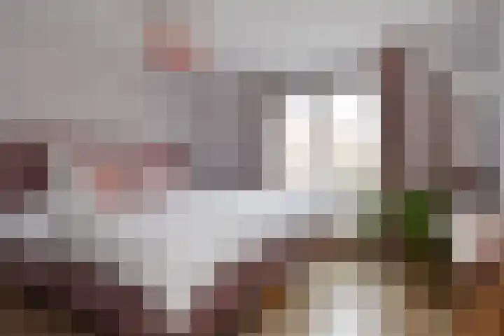 Q.A. Nederpelstraat 122 Den Haag thumbnail 4