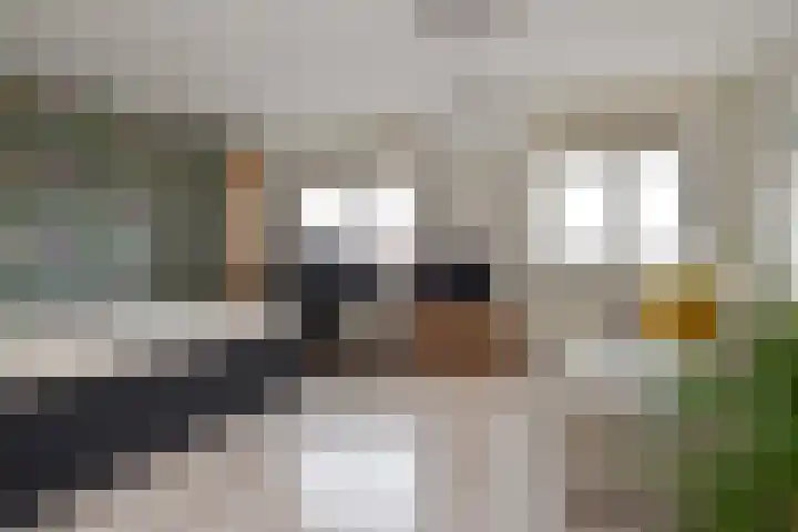 Q.A. Nederpelstraat 122 Den Haag thumbnail 43
