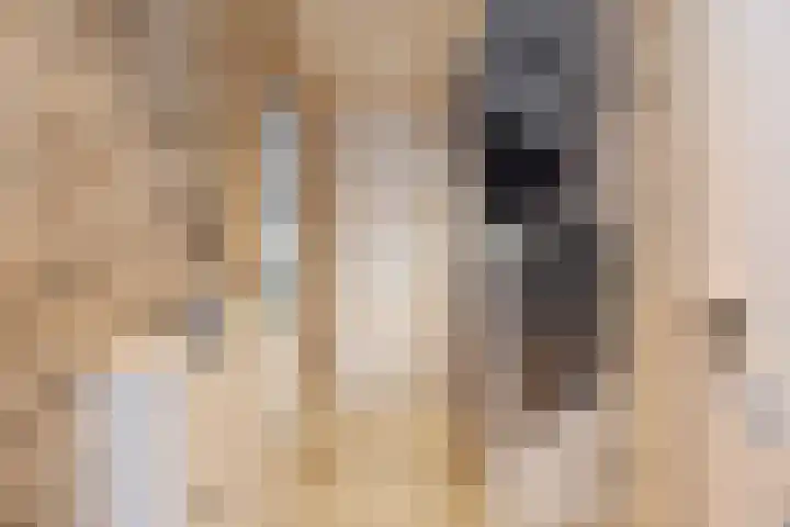 Q.A. Nederpelstraat 122 Den Haag thumbnail 8