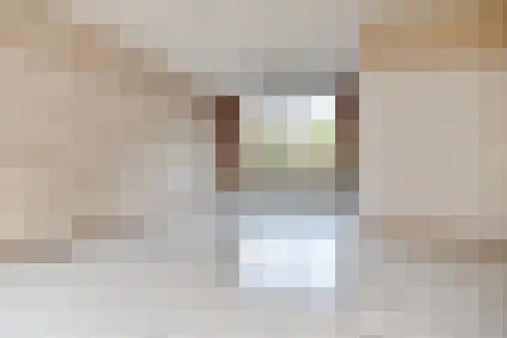 Q.A. Nederpelstraat 208 Den Haag thumbnail 14