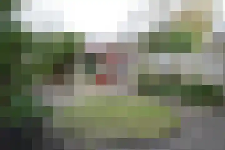 Q.A. Nederpelstraat 208 Den Haag thumbnail 21
