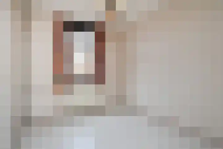 Q.A. Nederpelstraat 208 Den Haag thumbnail 32