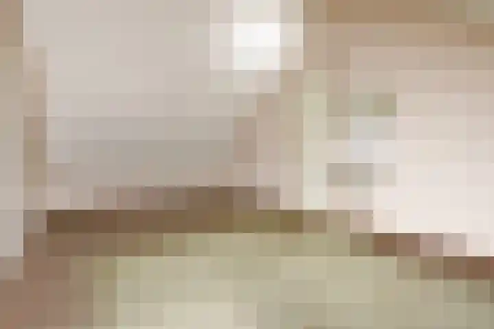 Q.A. Nederpelstraat 208 Den Haag thumbnail 37
