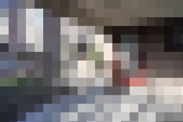 Q.A. Nederpelstraat 208 Den Haag thumbnail 8