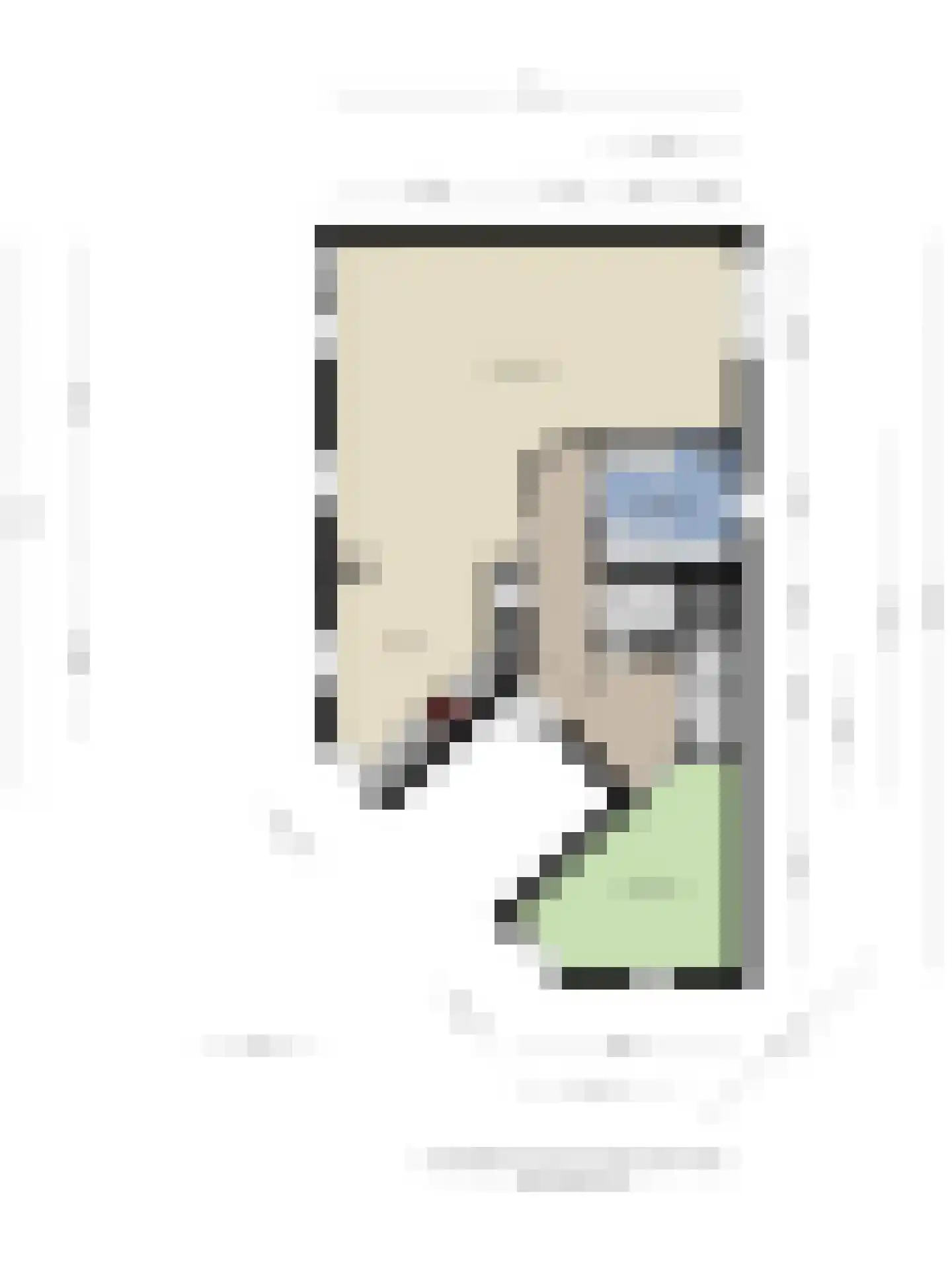Q.A. Nederpelstraat 236 Den Haag thumbnail 26