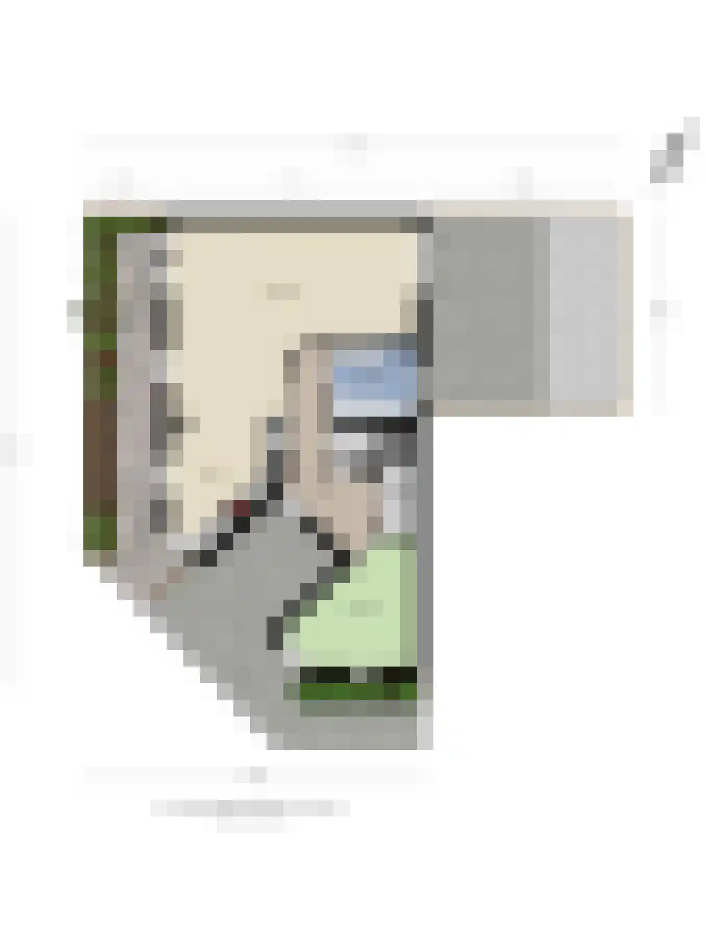 Q.A. Nederpelstraat 236 Den Haag thumbnail 27