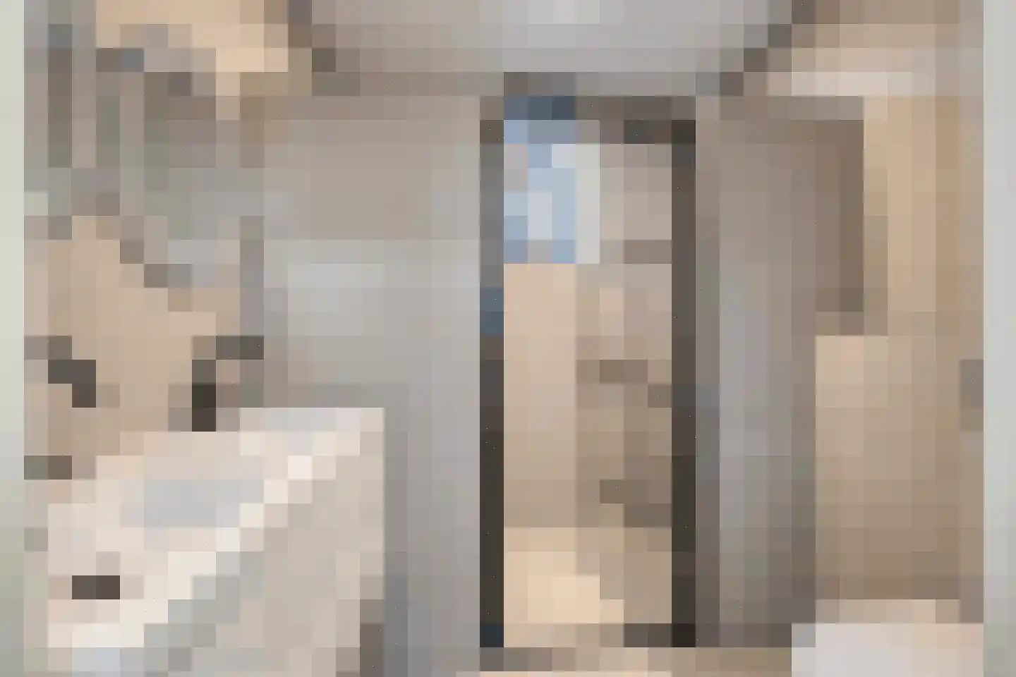 Q.A. Nederpelstraat 236 Den Haag thumbnail 4