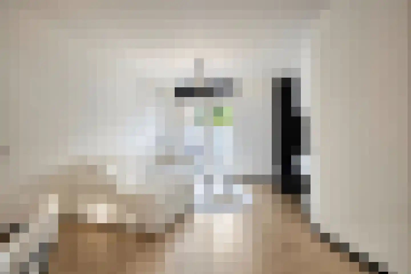 Q.A. Nederpelstraat 236 Den Haag thumbnail 5