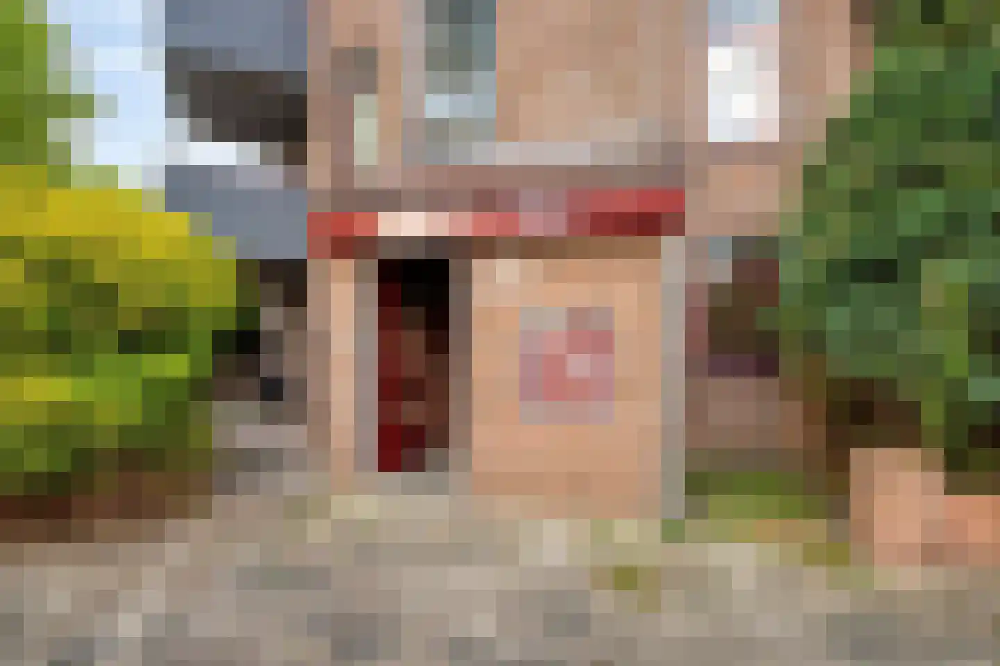 Q.A. Nederpelstraat 236 Den Haag thumbnail 7