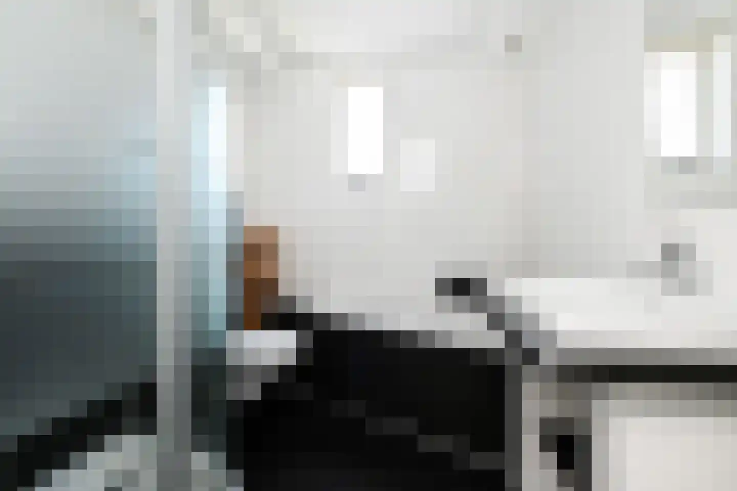 Q.A. Nederpelstraat 238 Den Haag thumbnail 13