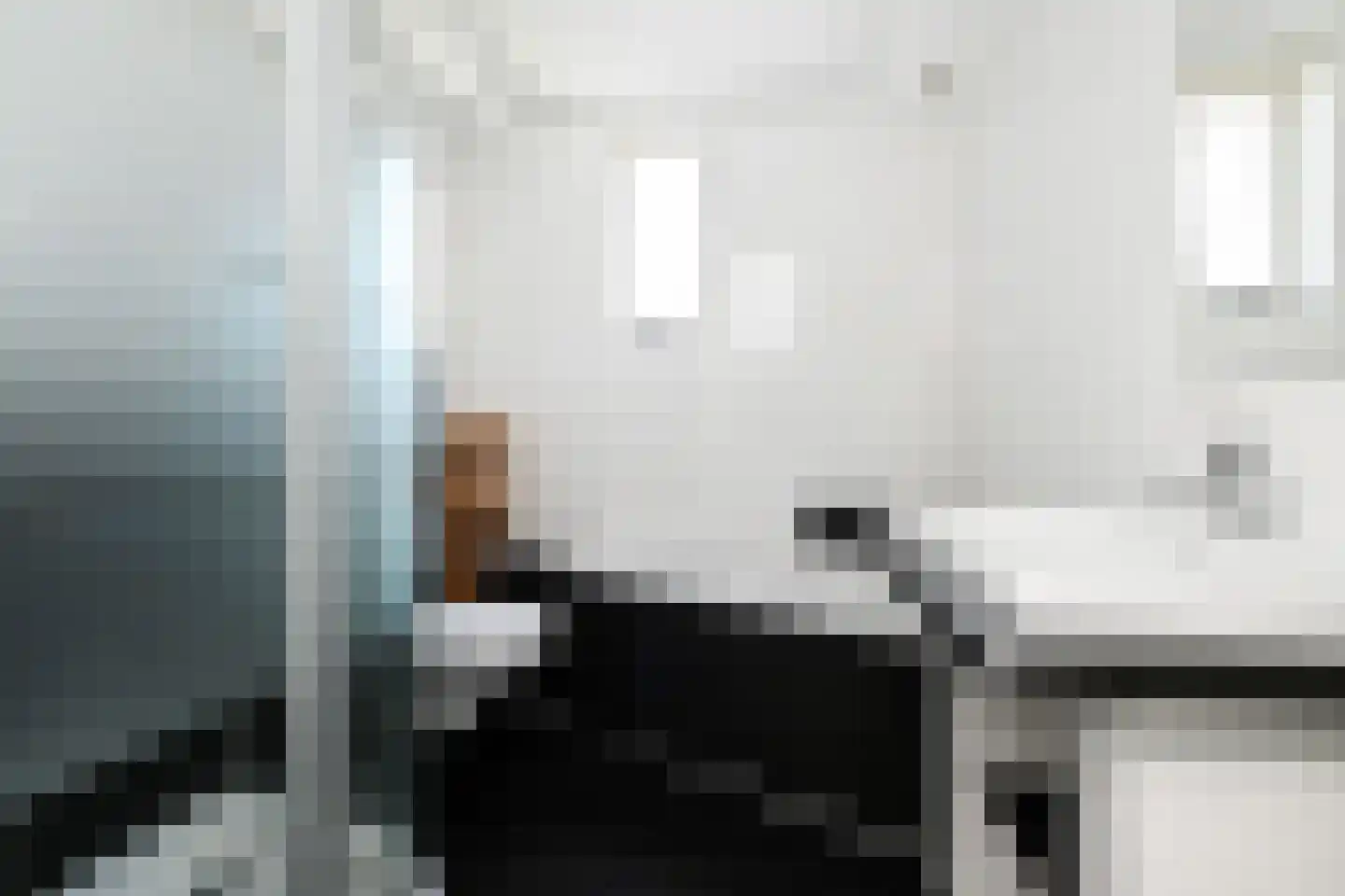 Q.A. Nederpelstraat 238 Den Haag thumbnail 5