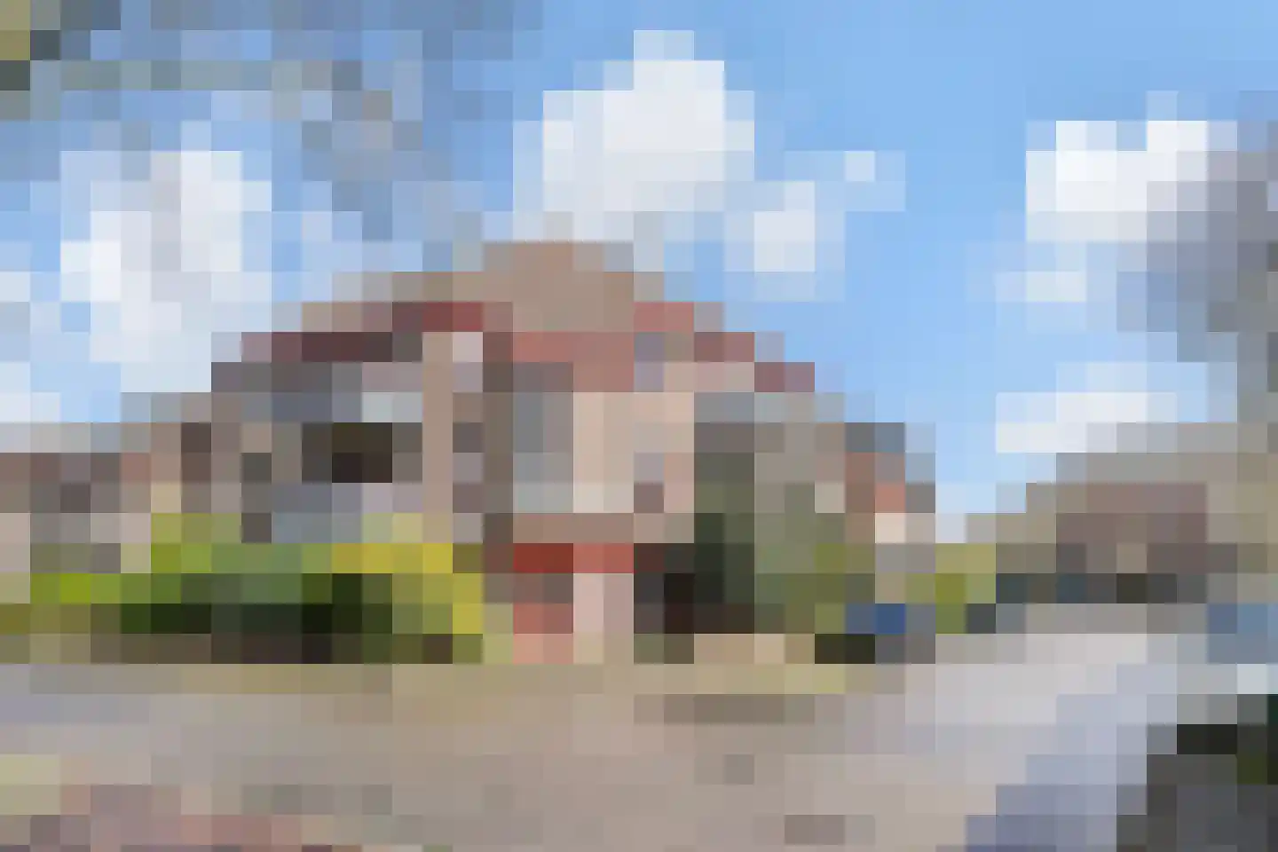 Q.A. Nederpelstraat 238 Den Haag thumbnail 6