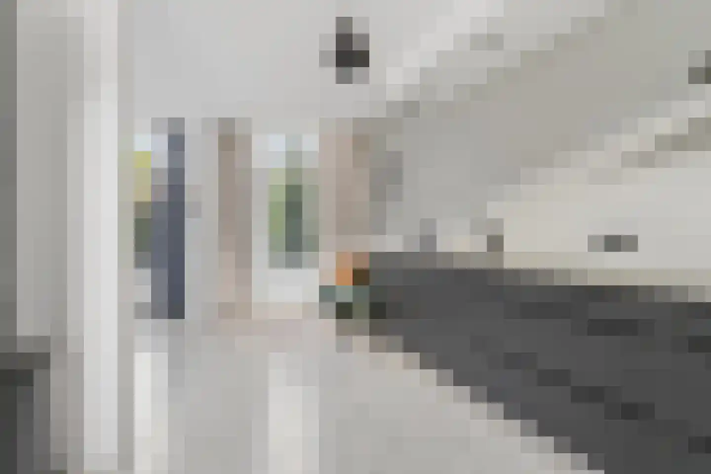 Q.A. Nederpelstraat 254 Den Haag thumbnail 14