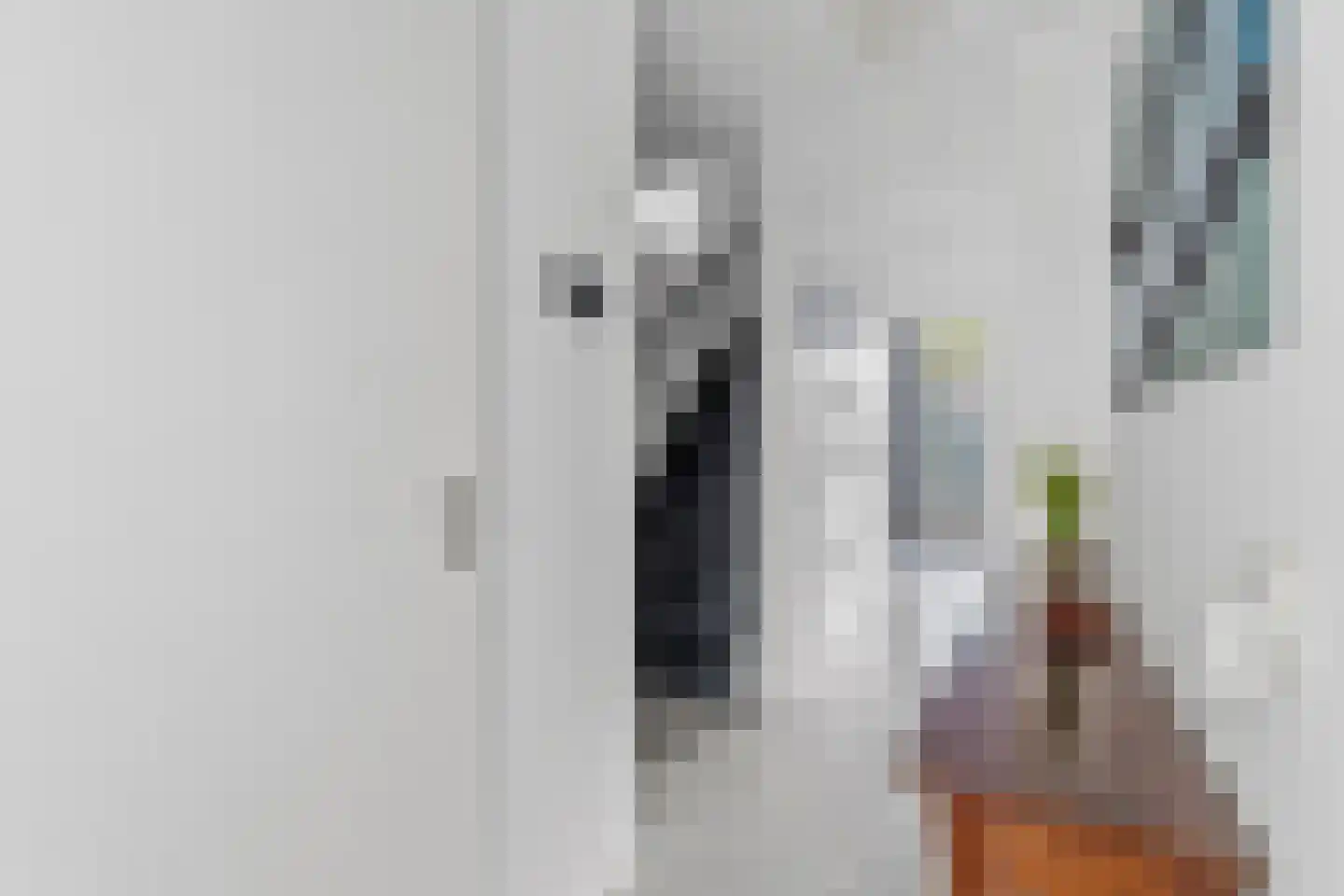 Q.A. Nederpelstraat 254 Den Haag thumbnail 28