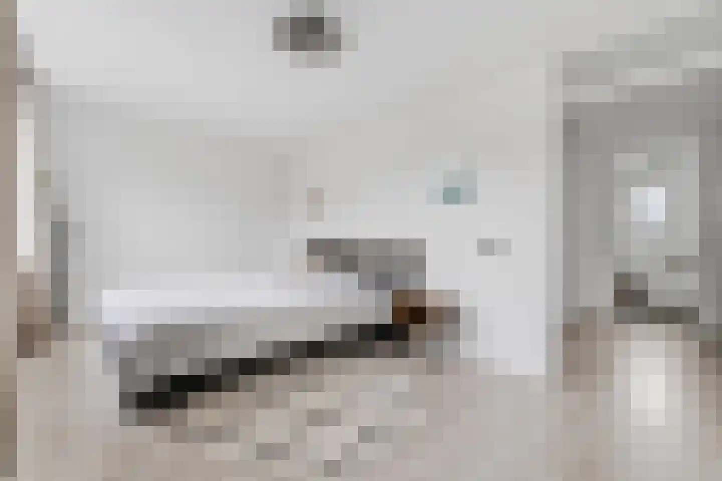 Q.A. Nederpelstraat 254 Den Haag thumbnail 39