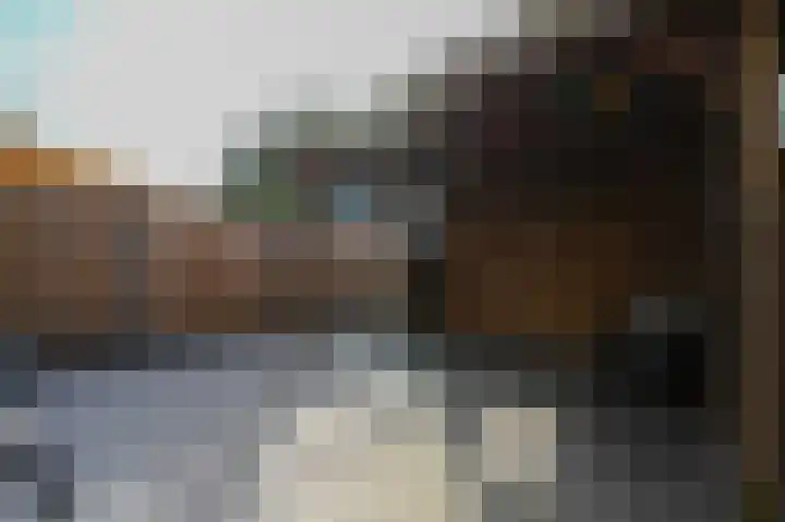 Q.A. Nederpelstraat 55 Den Haag thumbnail 20
