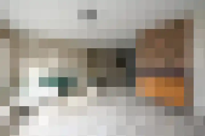 Q.A. Nederpelstraat 55 Den Haag thumbnail 23