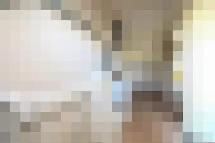 Q.A. Nederpelstraat 55 Den Haag thumbnail 35
