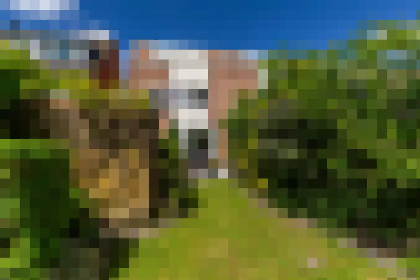 Q.A. Nederpelstraat 63 Den Haag thumbnail 20