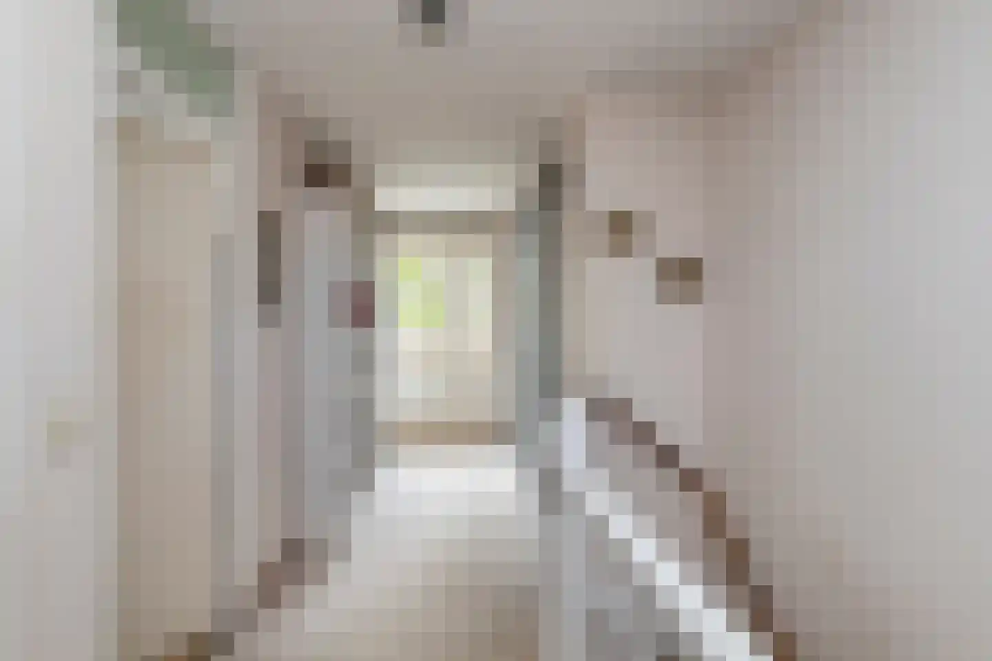 Q.A. Nederpelstraat 63 Den Haag thumbnail 34